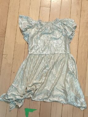 J. Crew Shimmery Light silver Metallic Kids Dress